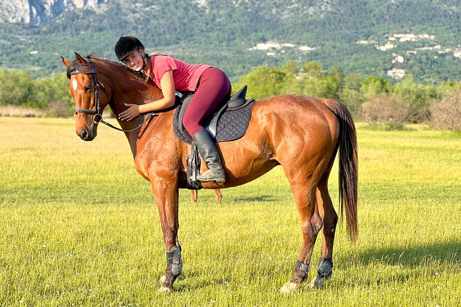 Horseback Riding Experience with transport from Dubrovnik - Leaving Dubrovnik for rural Konavle