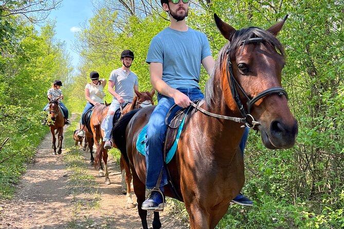 Horseback Riding Experience with transport from Dubrovnik - Why beginners may feel at ease