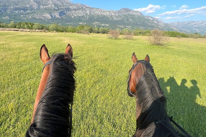 Horseback Riding Experience with transport from Dubrovnik - Pickup, timing, and group size