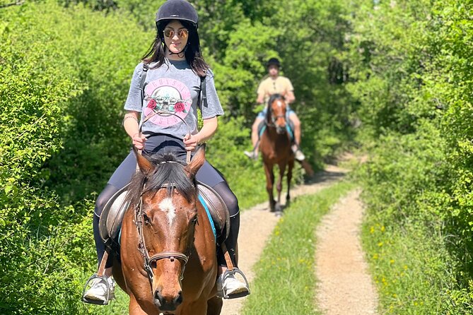 Horseback Riding Experience with transport from Dubrovnik - Who will get the most from this ride
