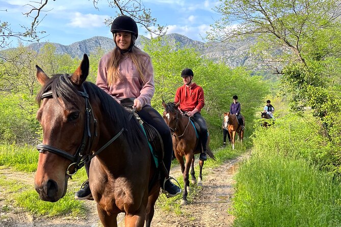 Horseback Riding Experience with transport from Dubrovnik - Meeting the horses at the small ranch