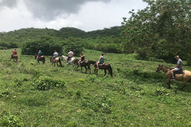 Horseback Riding Experience - Meeting Nick and Folksy at Estate River