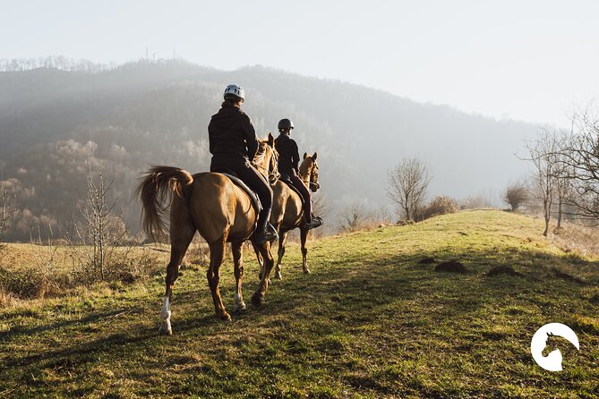 Horseback riding for experts between the lake and the mountains - What the first two hours are like