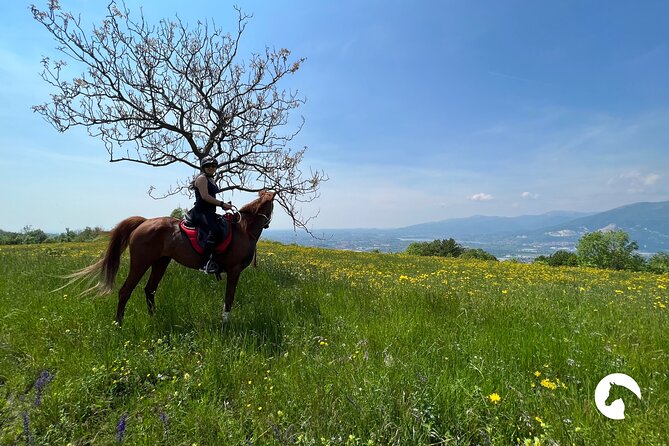 Horseback riding for experts between the lake and the mountains - Why the small group matters