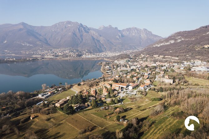 Horseback riding for experts between the lake and the mountains - The horses and riding equipment
