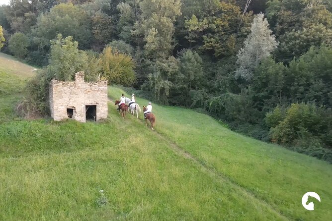 Horseback riding for experts between the lake and the mountains - Is the $238.28 price good value?