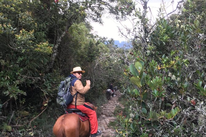 Horseback Riding from Guadalupe to Monserrate Private Day-Tour - Food is the detail you should settle before booking