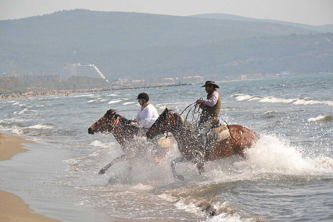 Horseback Riding From Kusadasi Port For Cruise Guests - Leaving Kusadasi Port for Pamucak Beach