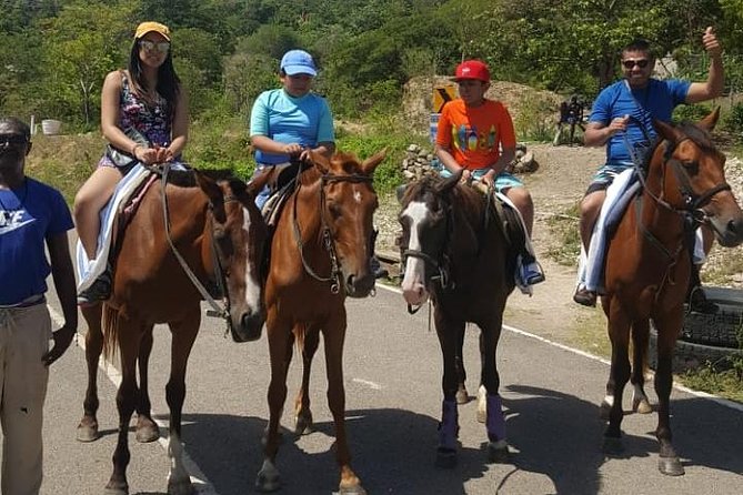 Horseback Riding from Montego Bay - The horse swim at Mammy Bay