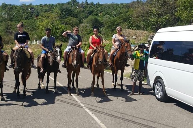 Horseback Riding from Montego Bay - Who should book this horseback outing?