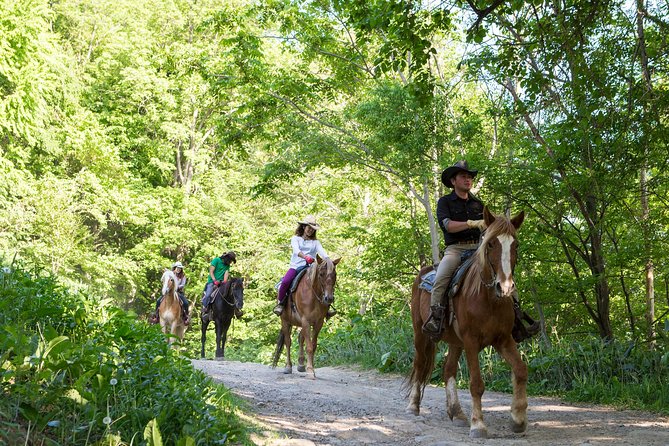 Horseback-Riding in a Country Side in Sapporo - Private Transfer is Included - A countryside ride with a Wild West opening