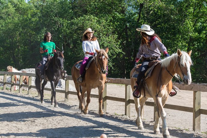 Horseback-Riding in a Country Side in Sapporo - Private Transfer is Included - Why the private taxi adds real value