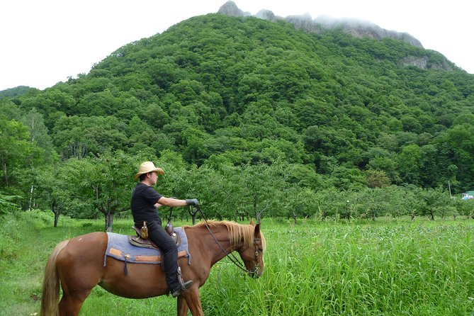 Horseback-Riding in a Country Side in Sapporo - Private Transfer is Included - Who will enjoy this most