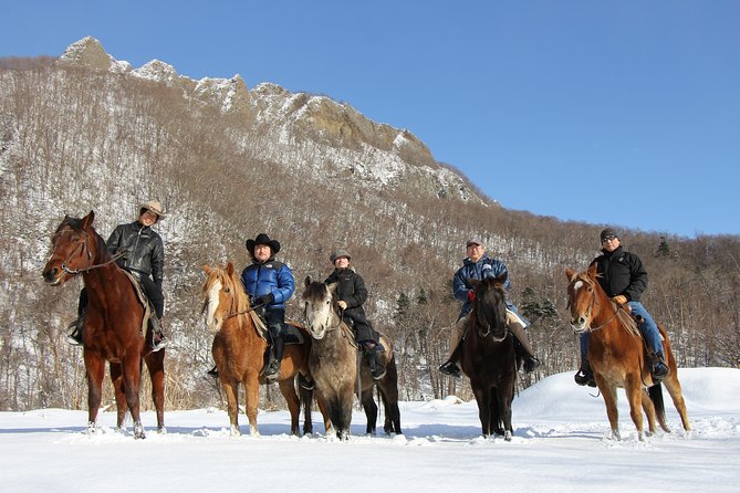 Horseback-Riding in a Country Side in Sapporo - Private Transfer is Included - Safety, weather, and the small print