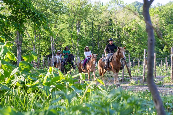 Horseback-Riding in a Country Side in Sapporo - Private Transfer is Included - Choosing between the 40-minute and one-hour route
