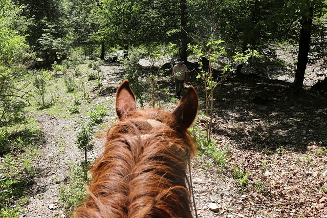 Horseback Riding in Azerbaijan - The mountain village tea stop