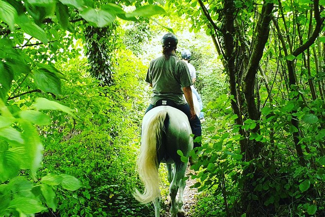 Horseback Riding In Bled - Guides who add local character