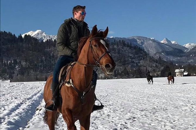 Horseback Riding In Bled - Why the scenery works so well from a horse