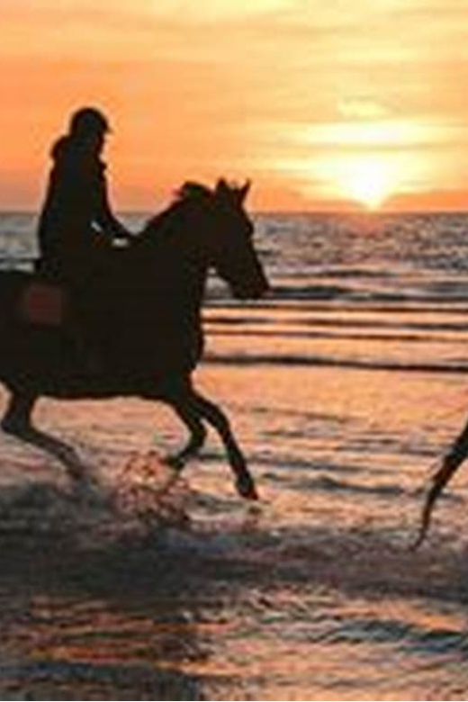 Horseback riding in Boavista for beginners - Key points to know before you book