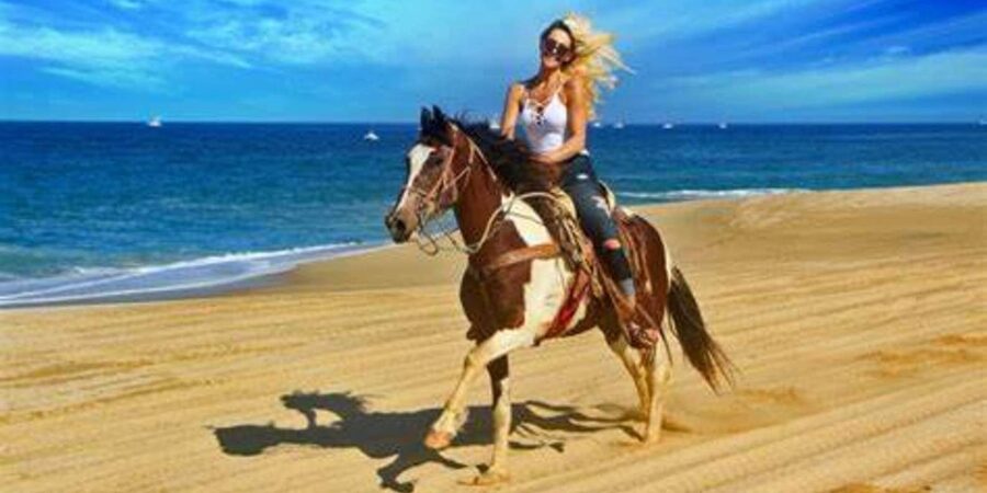 Horseback riding in Boavista for beginners - Riding beside the sea on Boa Vista