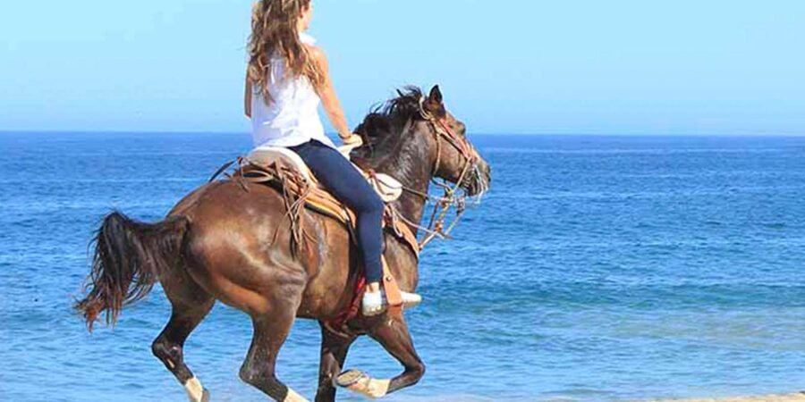 Horseback riding in Boavista for beginners - The first walk is slow by design