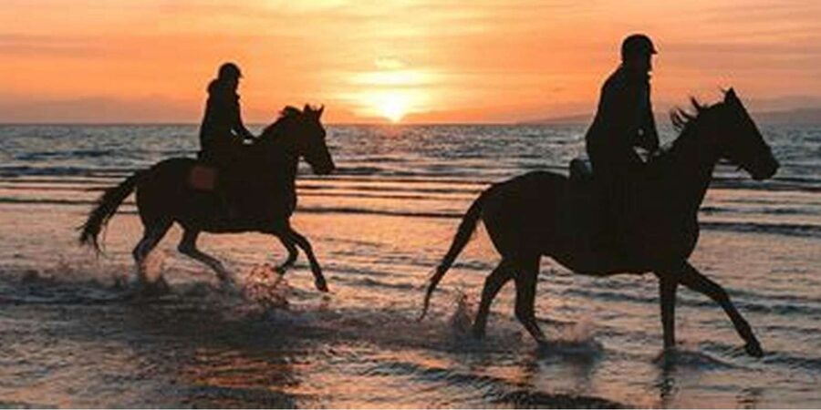 Horseback riding in Boavista for beginners - Beach riding, photos, and the best moments