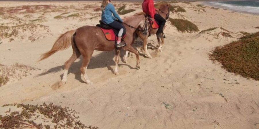Horseback riding in Boavista for beginners - What the $81 price really covers
