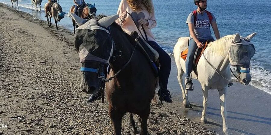 Horseback riding in Boavista for beginners - What happens before you mount