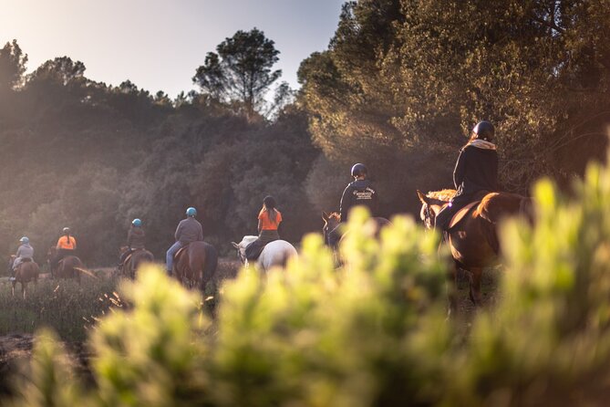 Horseback Riding in Cala Mitjana, Menorca, Spain - What the guides and horses add