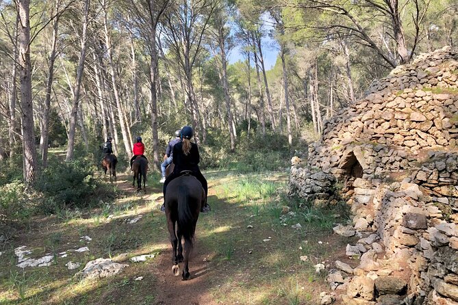 Horseback Riding in Cala Mitjana, Menorca, Spain - Timing, weather, and cancellation details