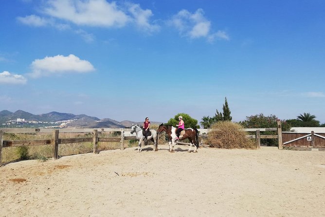 Horseback Riding in Cartagena (Spain) - What beginners can expect in the saddle