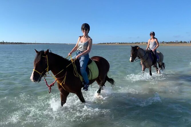 Horseback Riding in Djerba Lagoon - Key points to know before booking