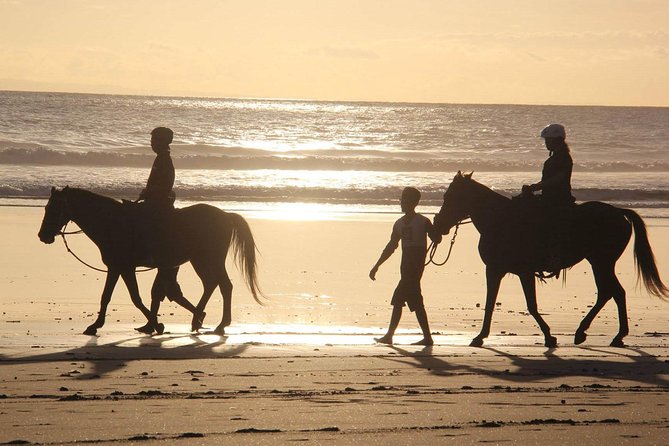 Horseback Riding in Djerba Lagoon - Seeing typical Djerban villages on horseback