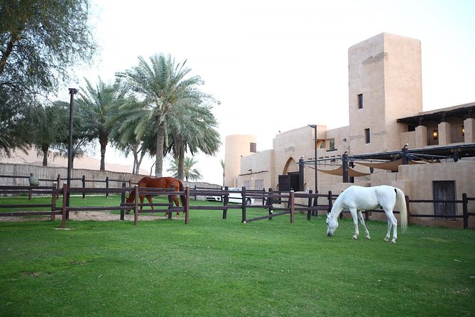 Horseback Riding in Dubai Desert with Transfers - Key points to know before booking
