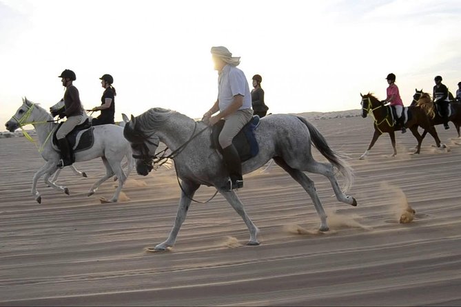 Horseback Riding in Dubai Desert with Transfers - A quieter way to see Dubai’s desert