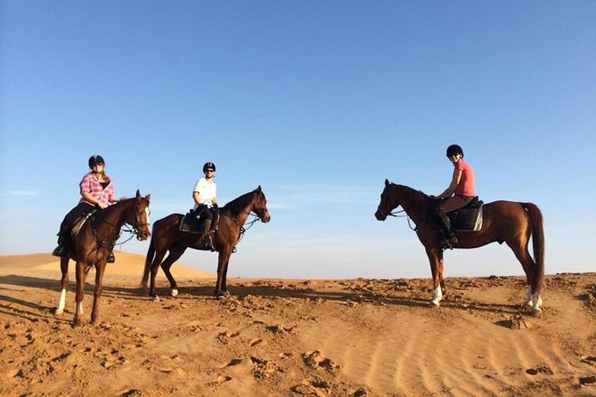 Horseback Riding in Dubai Desert with Transfers - The safety briefing and riding rules