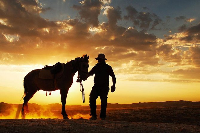 Horseback Riding in Dubai Desert with Transfers - Families, beginners, and experienced riders