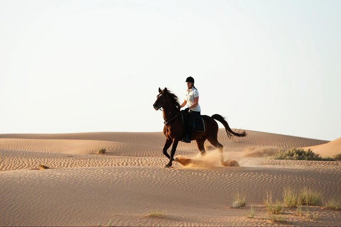 Horseback Riding in Dubai Desert with Transfers - Pickup from your Dubai hotel