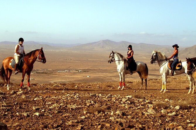 Horseback Riding in Fuerteventura for 1 or 2 hours, Spain - Riding through Fuerteventura’s volcanic interior