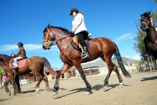 Horseback Riding in Fuerteventura for 1 or 2 hours, Spain - Getting comfortable with your horse