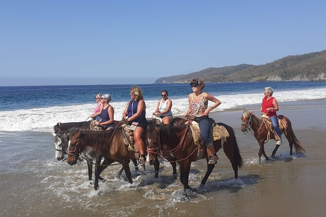 Horseback Riding in Ixtapa with Hotel Pickup - Beach riding without giving up your day