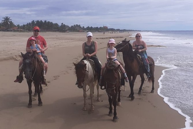 Horseback Riding in Ixtapa with Hotel Pickup - Calm horses and straightforward equipment