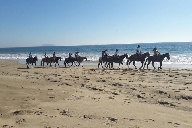 Horseback Riding in Ixtapa with Hotel Pickup - Guides who keep the ride easygoing