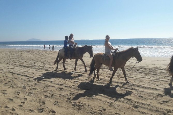 Horseback Riding in Ixtapa with Hotel Pickup - Hotel pickup saves effort, with one important caution