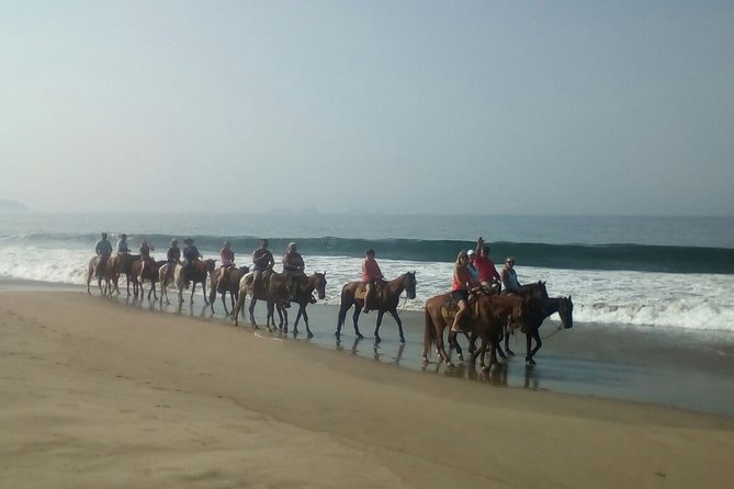 Horseback Riding in Ixtapa with Hotel Pickup - How much value does the ride offer?