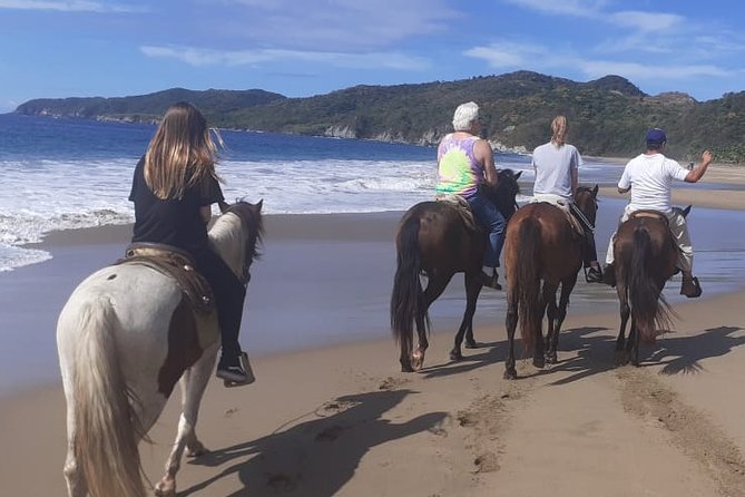 Horseback Riding in Ixtapa with Hotel Pickup - What the one-hour route is like