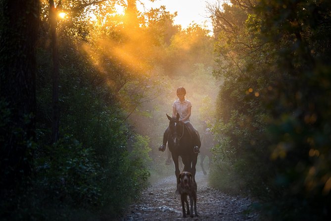 Horseback Riding in Konavle Region with Transport from Dubrovnik - Why this Konavle ride feels different from Dubrovnik sightseeing