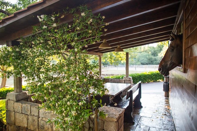 Horseback Riding in Konavle Region with Transport from Dubrovnik - The cliff lookout and the best photo stop