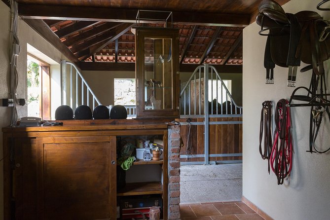 Horseback Riding in Konavle Region with Transport from Dubrovnik - Sandwiches, wine, and a quiet ranch welcome