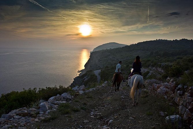 Horseback Riding in Konavle Region with Transport from Dubrovnik - How much value do you get for $168.95?